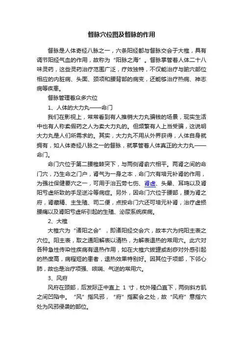 督脉穴位图及督脉的作用
