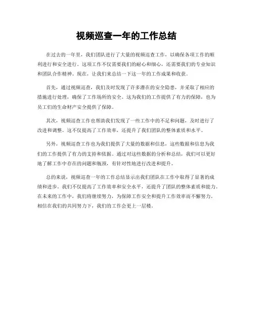 视频巡查一年的工作总结