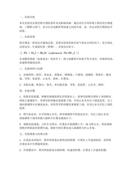 铁生锈实验报告范文