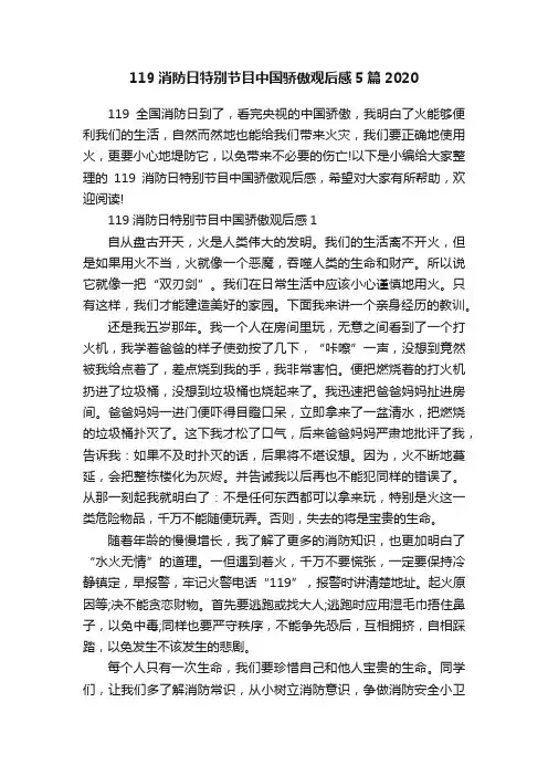 119消防日特别节目中国骄傲观后感5篇2020