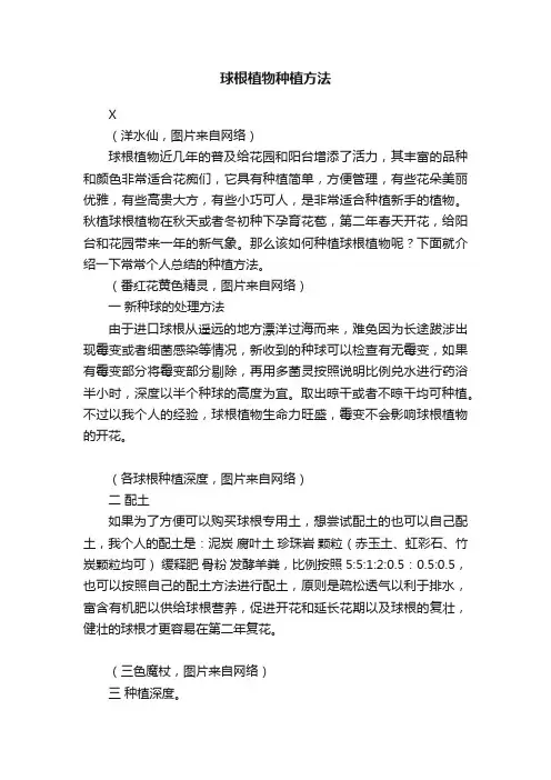 球根植物种植方法