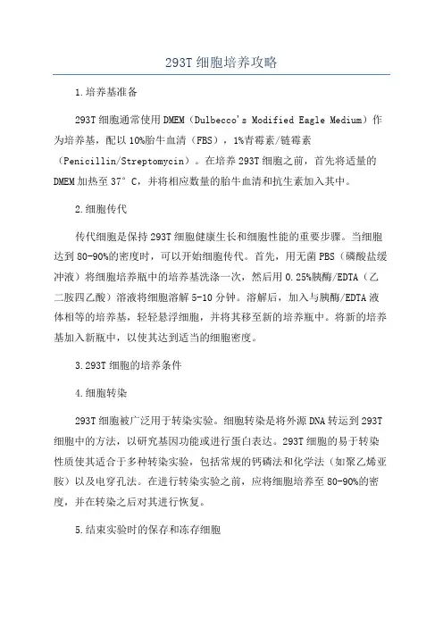 293T细胞培养攻略