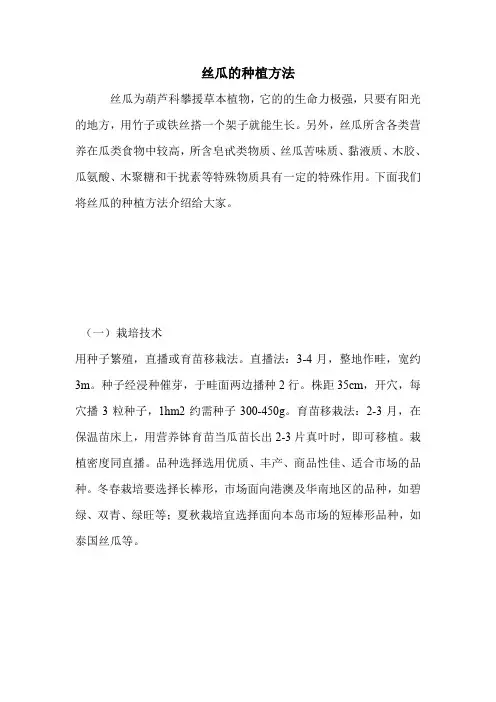 丝瓜的种植方法.doc