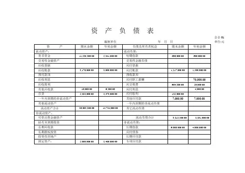 资产负债表(电子版)