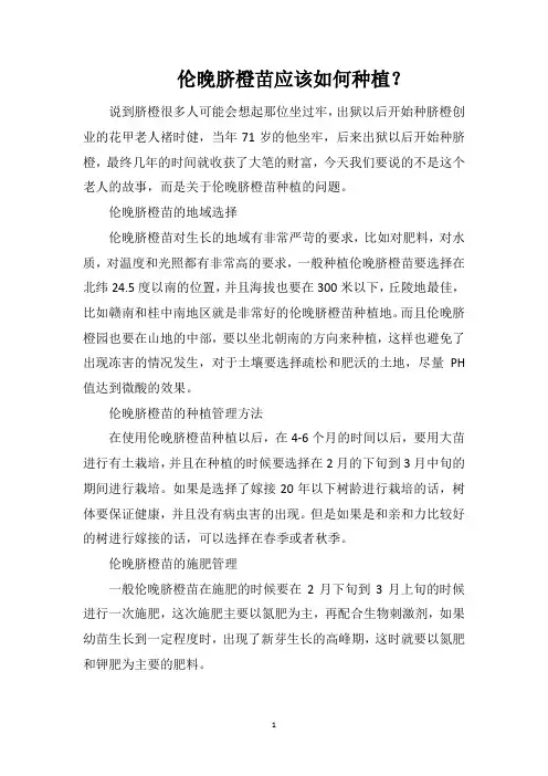 伦晚脐橙苗应该如何种植？