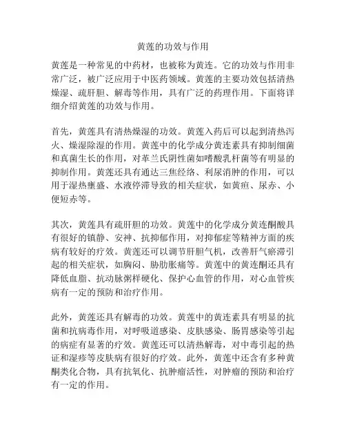 黄莲的功效与作用