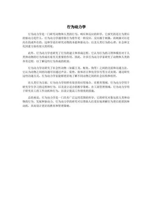 行为动力学
