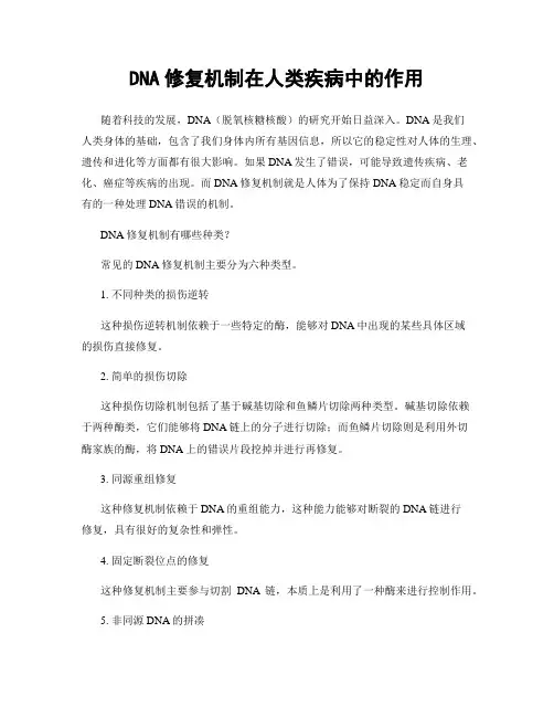 DNA修复机制在人类疾病中的作用