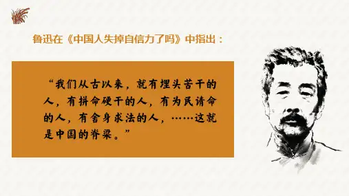 《喜看稻菽千重浪》ppt课件