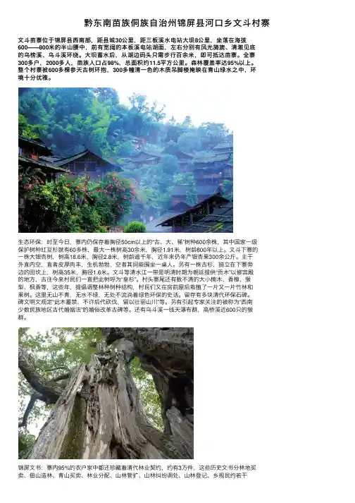 黔东南苗族侗族自治州锦屏县河口乡文斗村寨