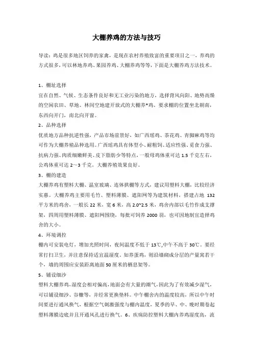 大棚养鸡的方法与技巧