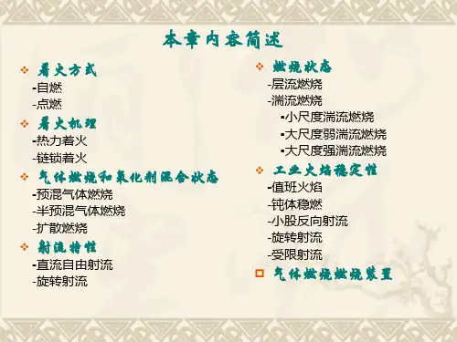 气体燃料的预混燃烧