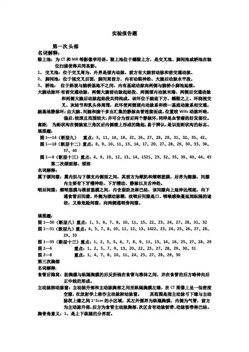 实验报告