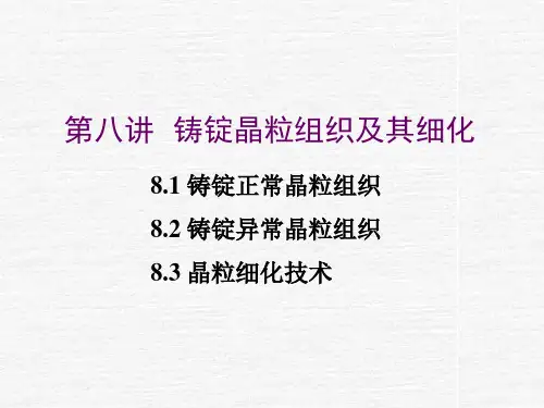 金属熔炼第八讲
