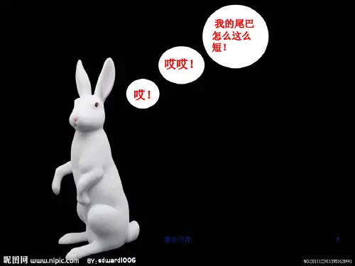 《动物的尾巴》PPT(课堂优讲)