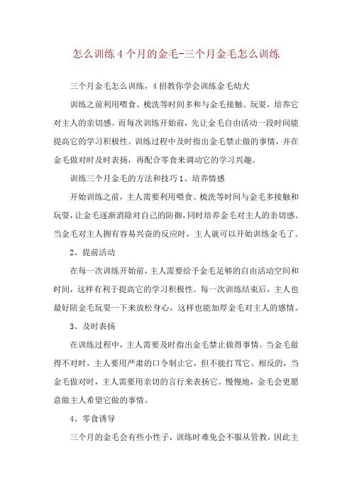 怎么训练4个月的金毛-三个月金毛怎么训练