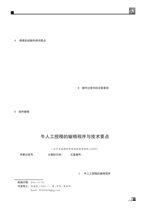 牛人工授精的输精程序与技术要点