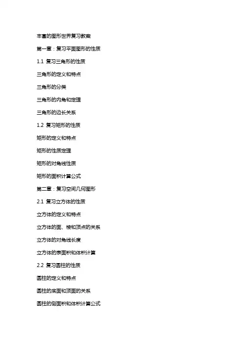丰富的图形世界复习教案