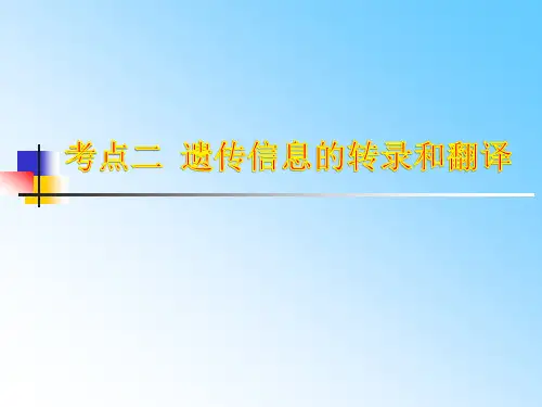 遗传信息的转录和翻译