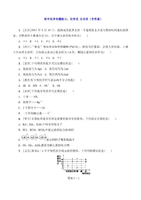 初中化学专题练习：化学式化合价（含答案）