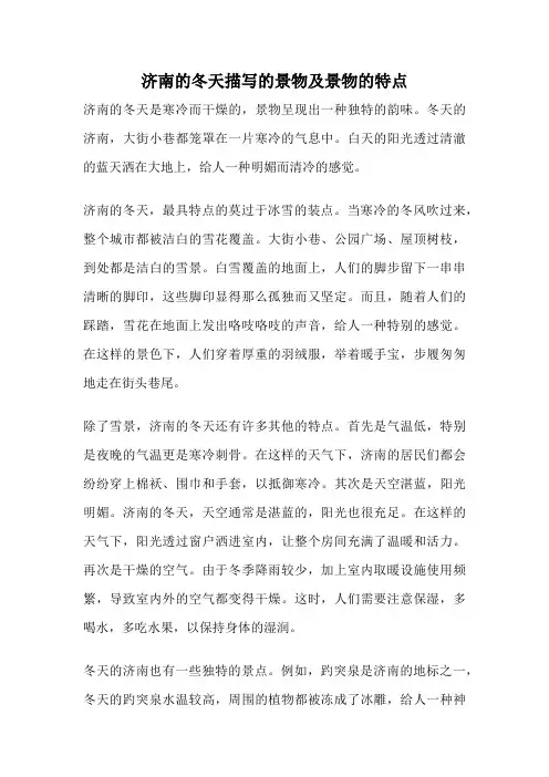 济南的冬天描写的景物及景物的特点