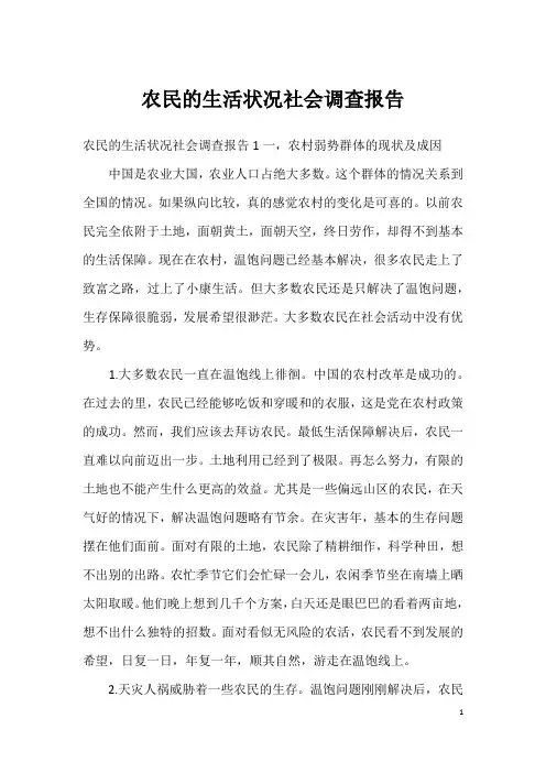 农民的生活状况社会调查报告