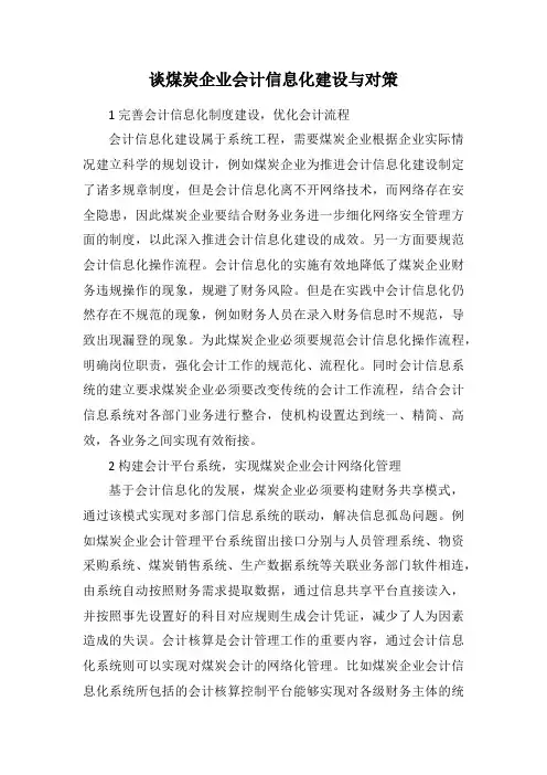 谈煤炭企业会计信息化建设与对策
