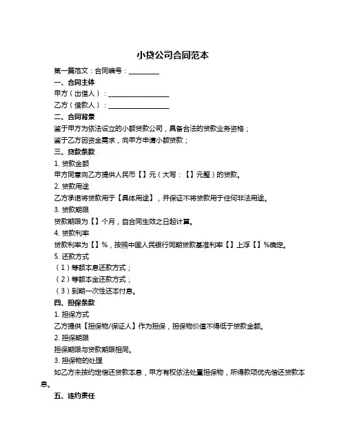 小贷公司合同范本