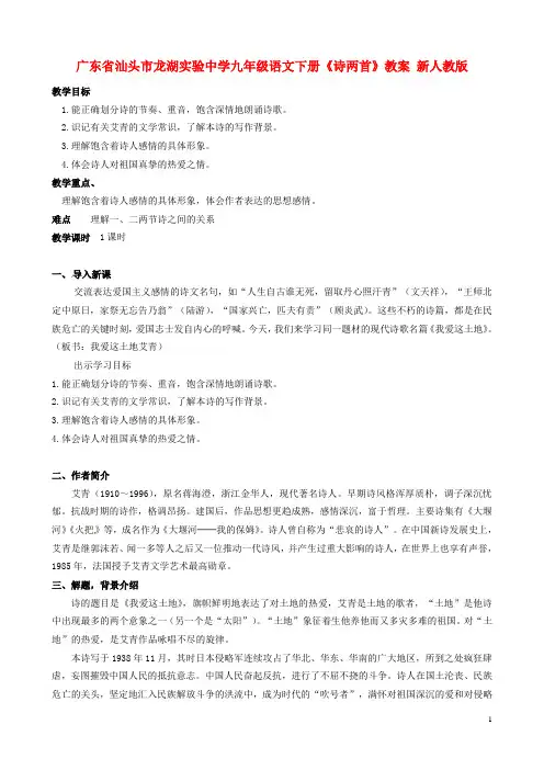 广东省汕头市龙湖实验中学九年级语文下册《诗两首》教案 新人教版