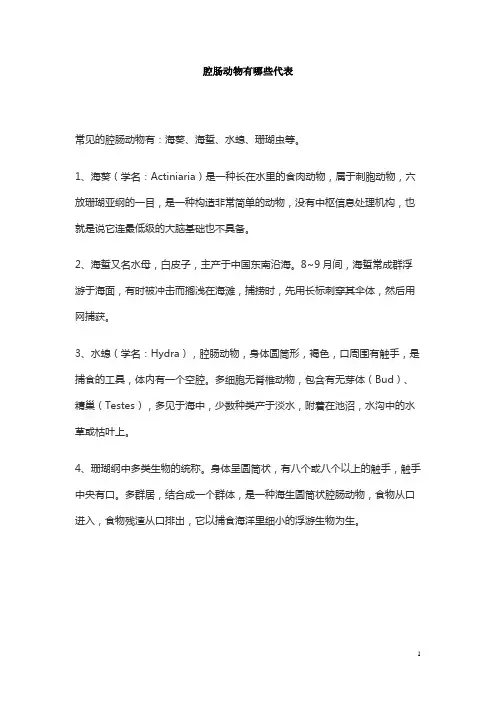 腔肠动物有哪些代表
