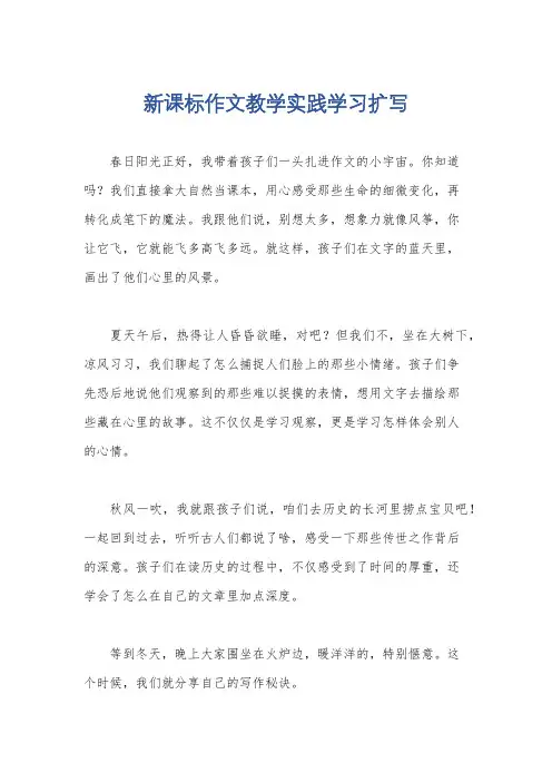 新课标作文教学实践学习扩写