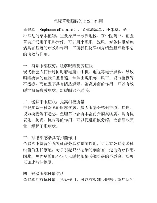 鱼腥草敷眼睛的功效与作用