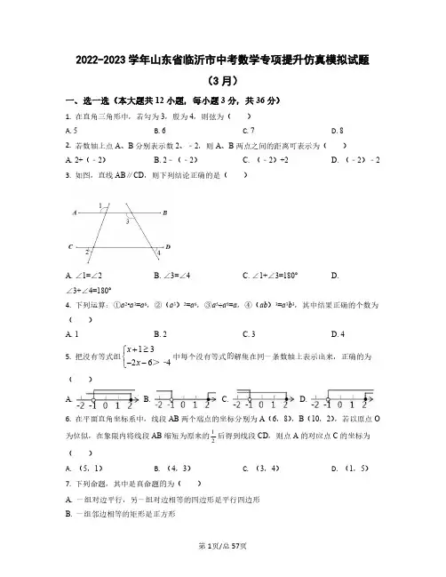 2022——2023学年山东省临沂市中考数学专项提升仿真模拟试题(3月4月)含答案