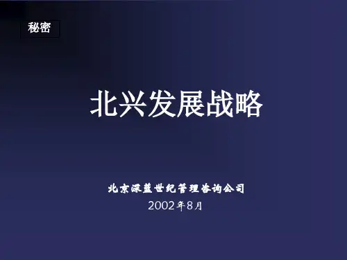 某咨询公司发展战略(ppt 99页)