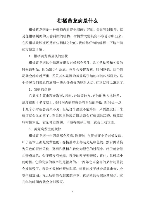 柑橘黄龙病是什么