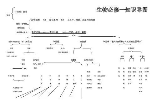 生物必修一知识导图