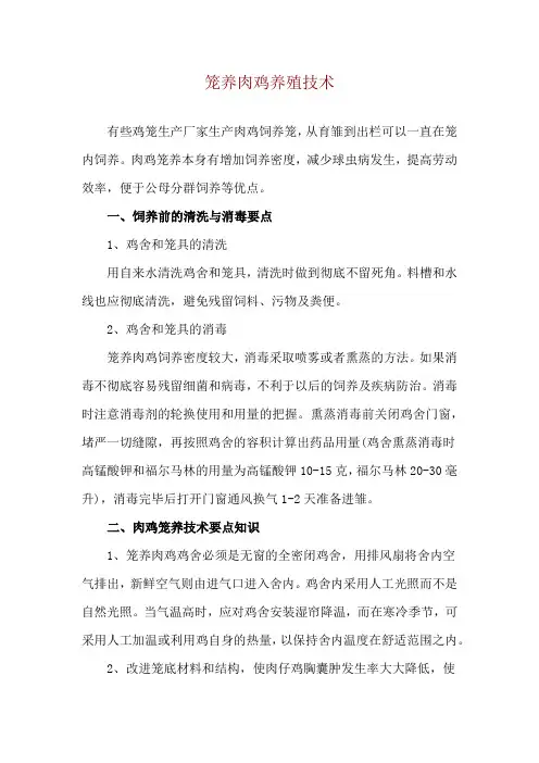 笼养肉鸡养殖技术