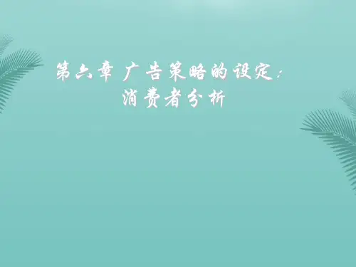 广告策划 第六章消费者分析推荐精选PPT