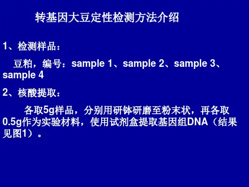 转基因大豆定性检测方法介绍