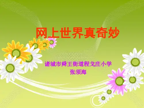 小学信息技术《网上世界真奇妙》PPT课件