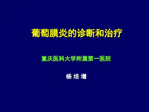 葡萄膜炎的诊断和治疗杨倍增