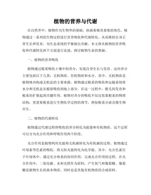 植物的营养与代谢