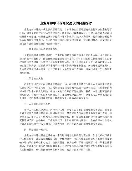 企业内部审计信息化建设的问题探讨