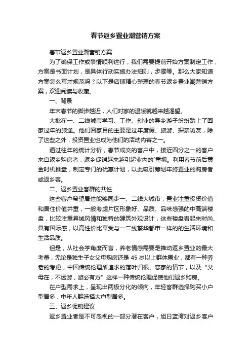 春节返乡置业潮营销方案