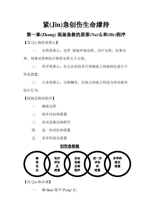 创伤现场急救的原则和程序(共51页)