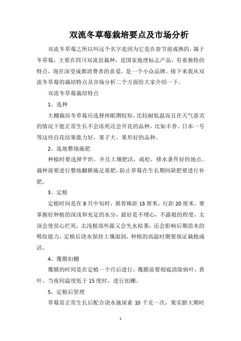 双流冬草莓栽培要点及市场分析