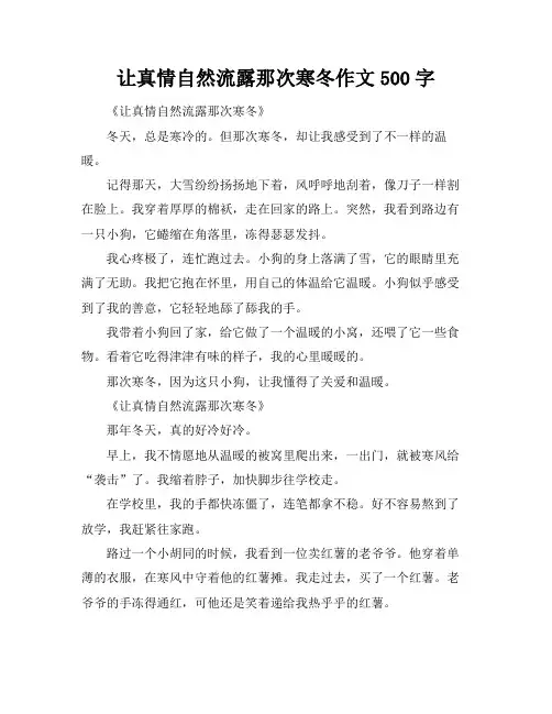 让真情自然流露那次寒冬作文500字