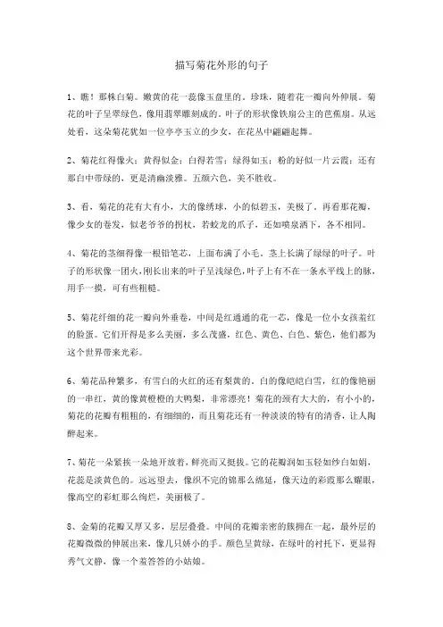 描写菊花外形的句子