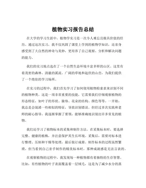 植物实习报告总结