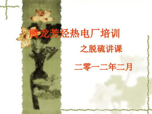 脱硫运行培训